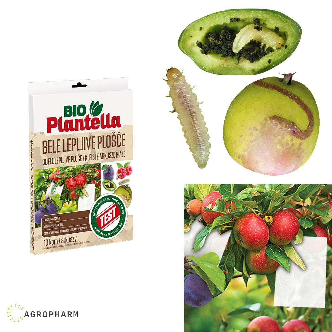Lepljive ploče protiv insekata bele Bio Plantella