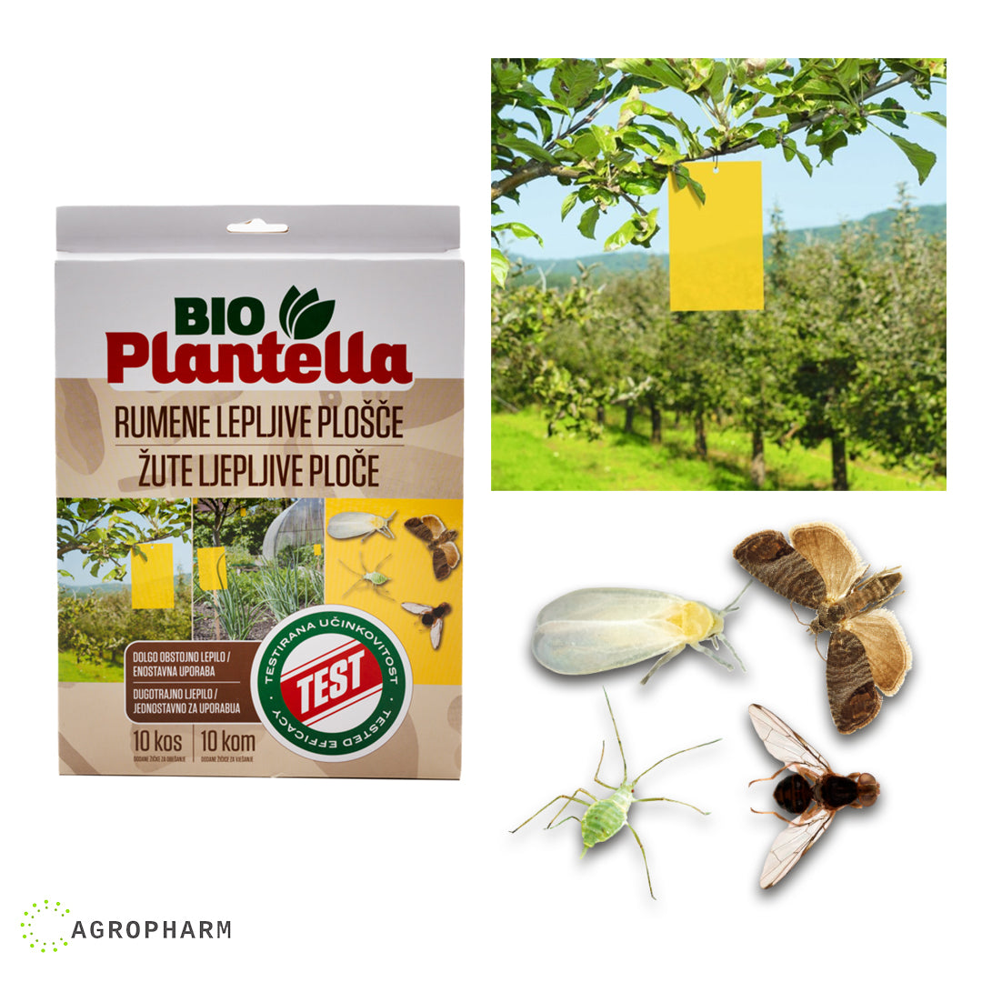 ŽUTE lepljive ploče za insekte 24x17 10/1 Bio Plantella