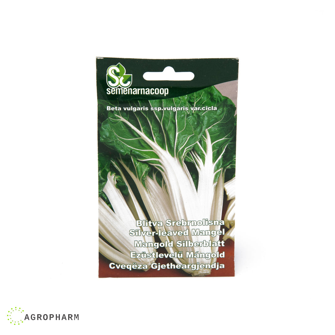 Blitva Srebrnolisna Semenarnacoop