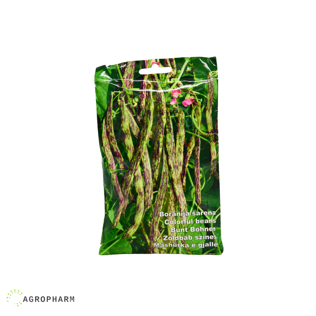 Boranija šarena puzeća Merveille de Piemonte 100g