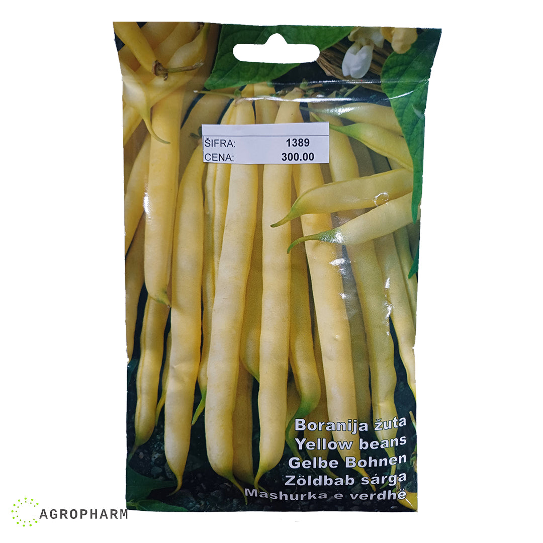 Žuta boranija Delfina Seme