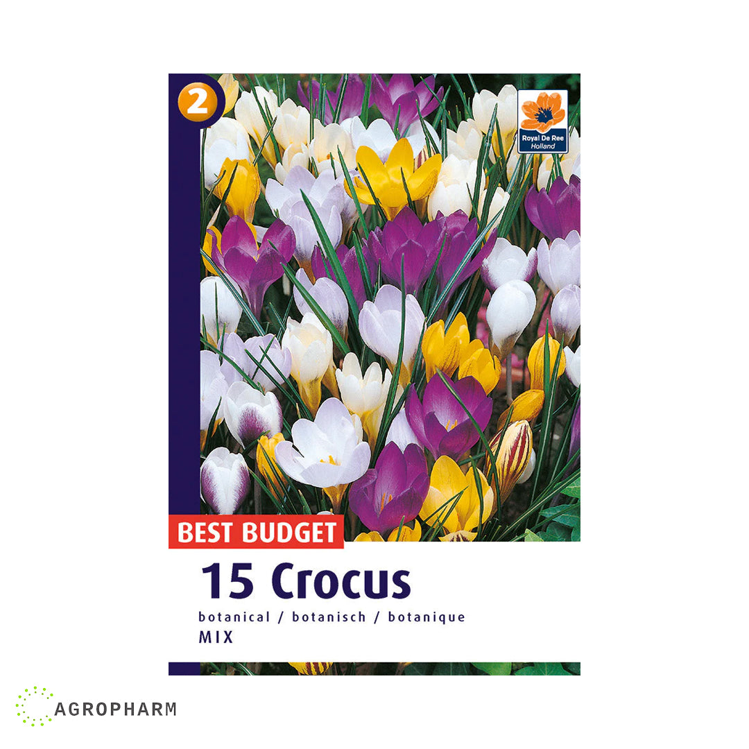 Crocus Botanical mix 8/1