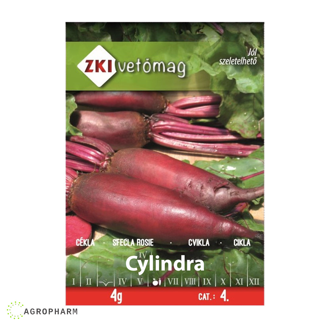 Cvekla Cilindra ZKI Seme