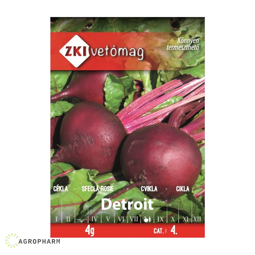 Cvekla Detroit sa kratkom vegetacijom ZKI Seme