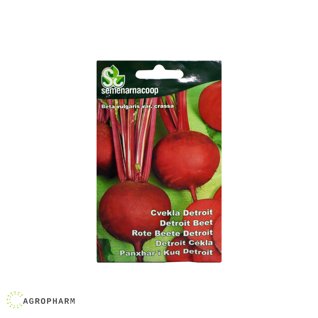 Cvekla Detroit Semenarnacoop