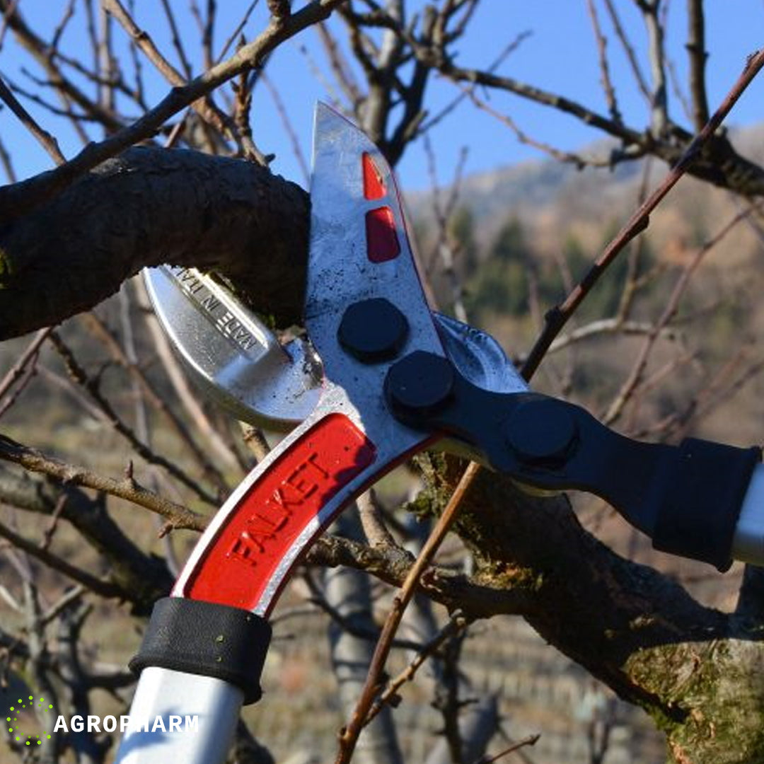 Falket Makaze za grane ravna oštrica