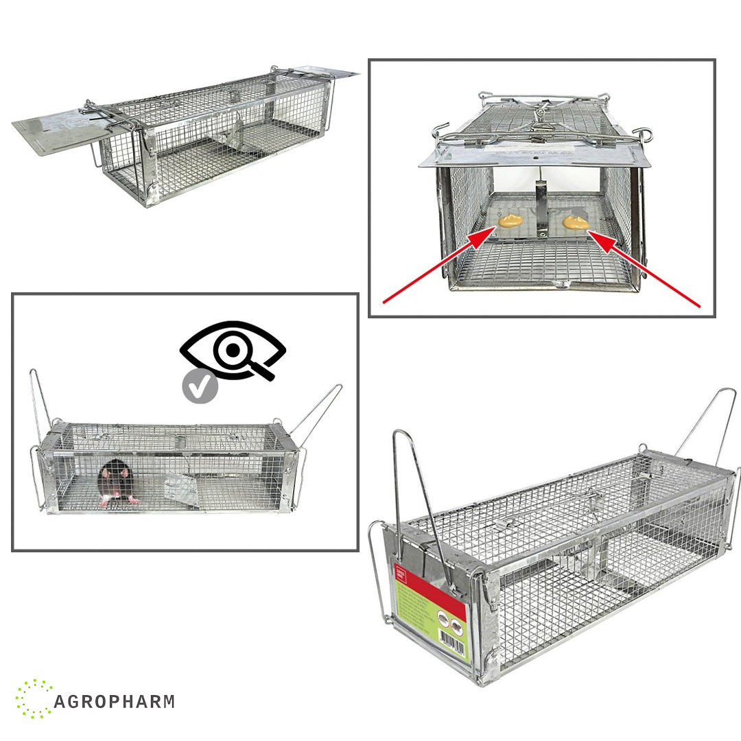Kavez za hvatanje pacova i miševa Pro Swiss inno