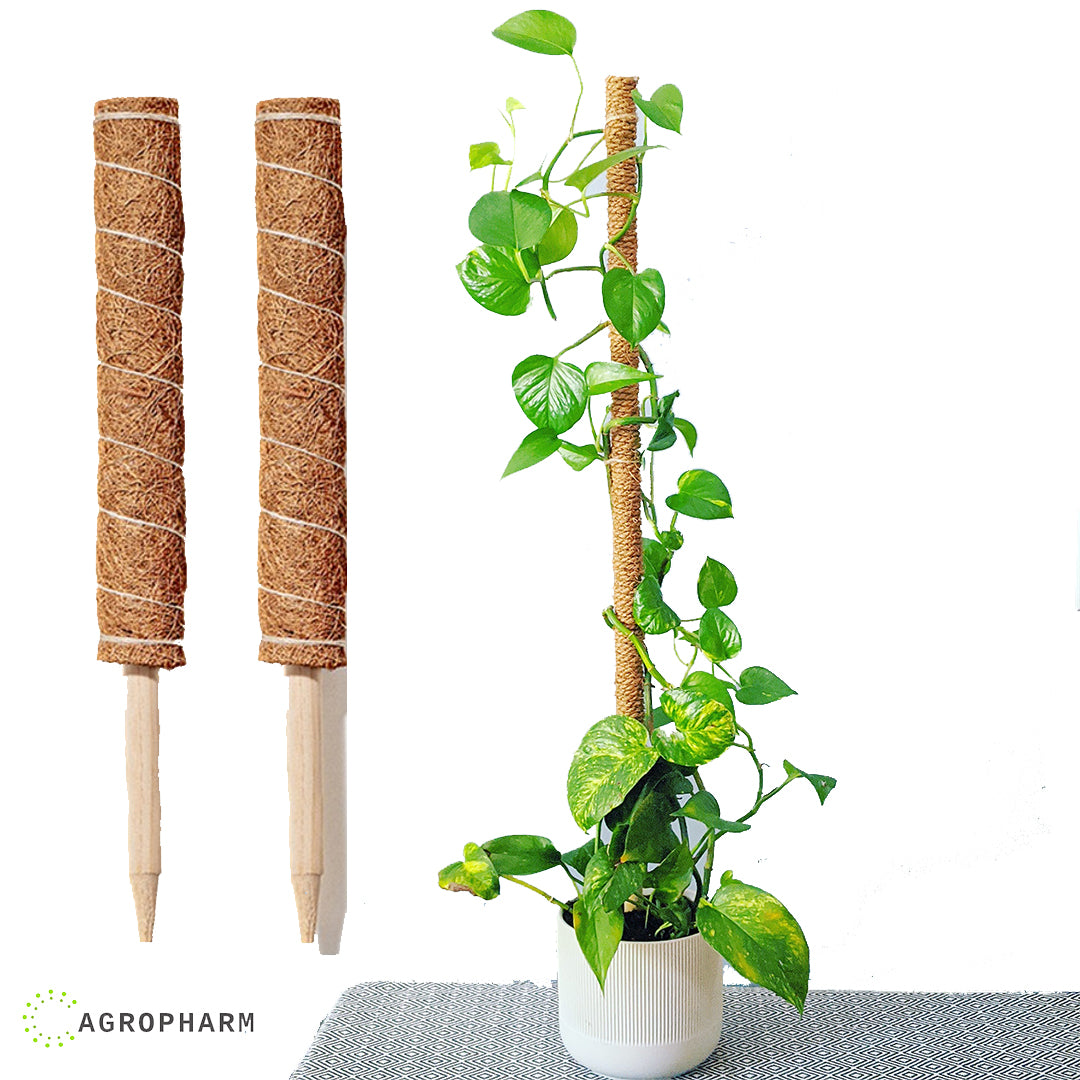 Kokosov naslon za biljke 45cm