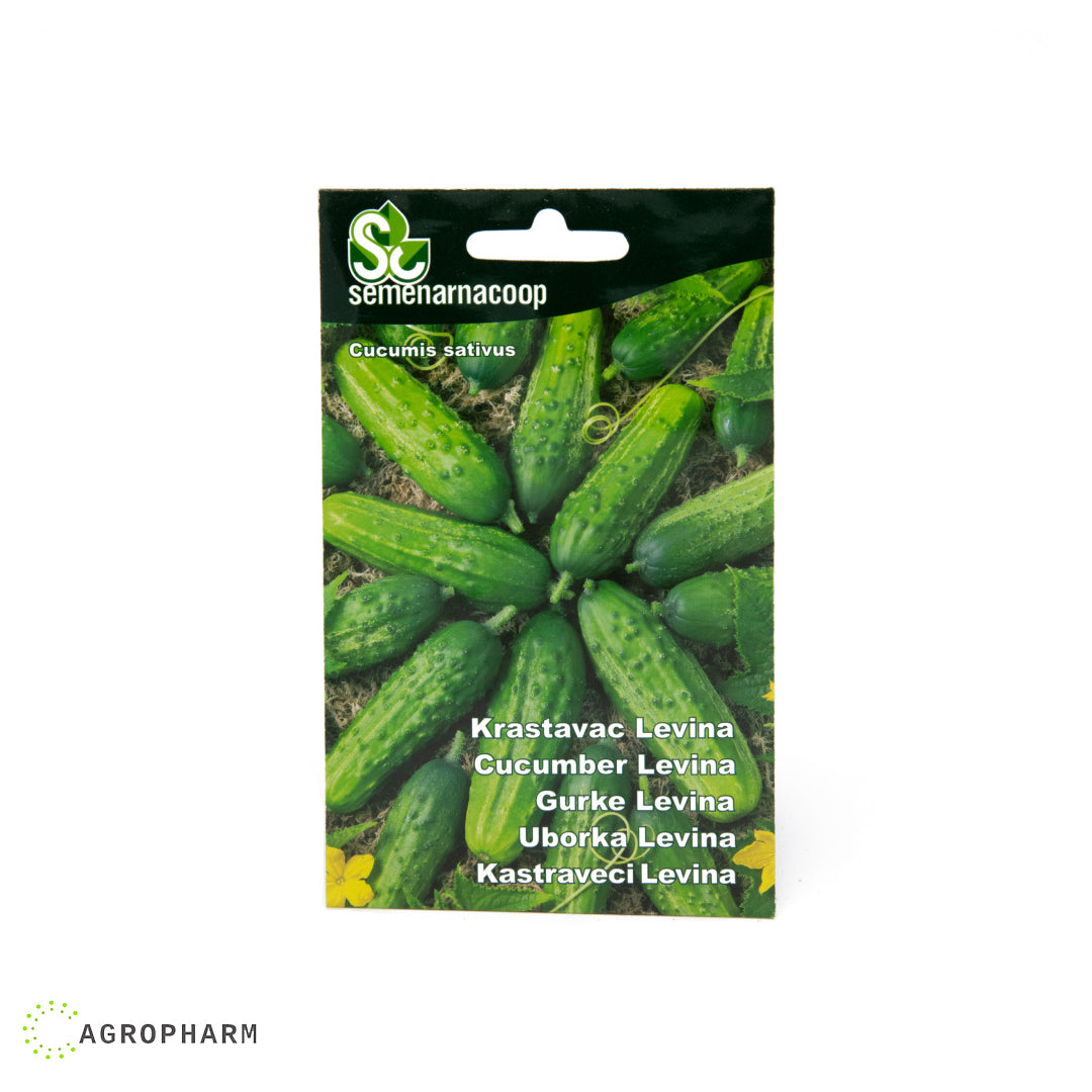 Krastavac Levina Semenarnacoop