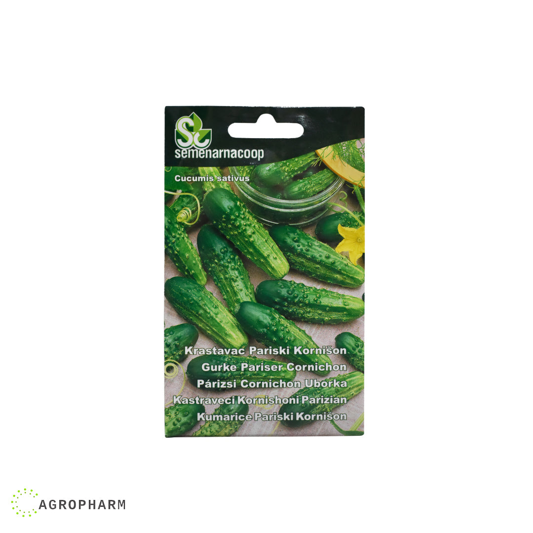 Krastavac pariški kornišon Semenarnacoop