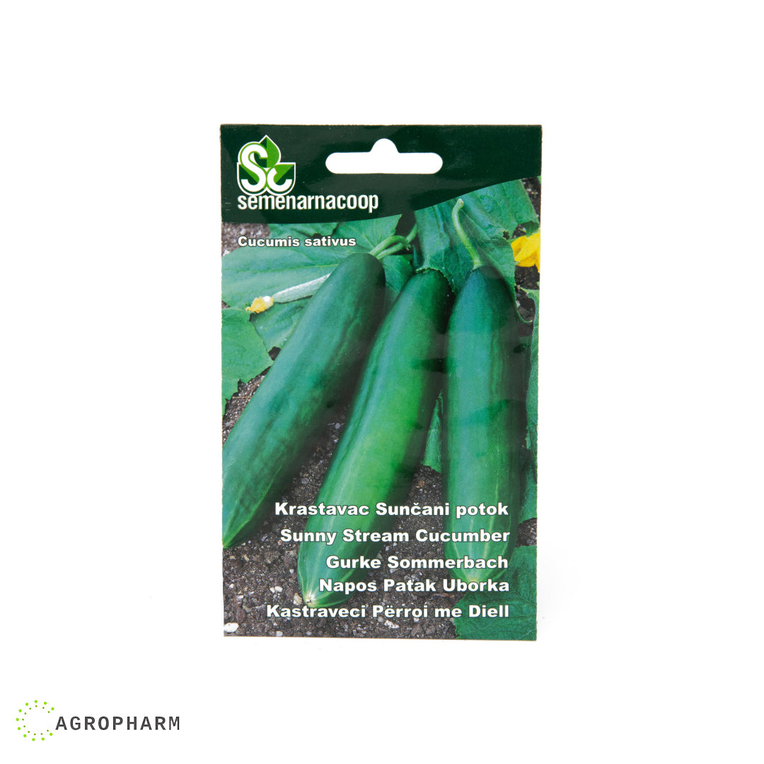 Krastavac Sunčani potok Semenarnacoop