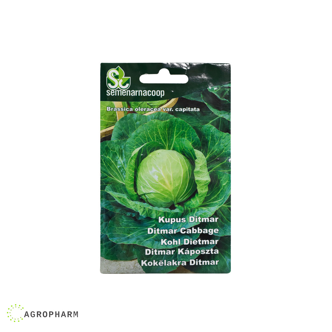 Kupus Ditmar Semenarnacoop