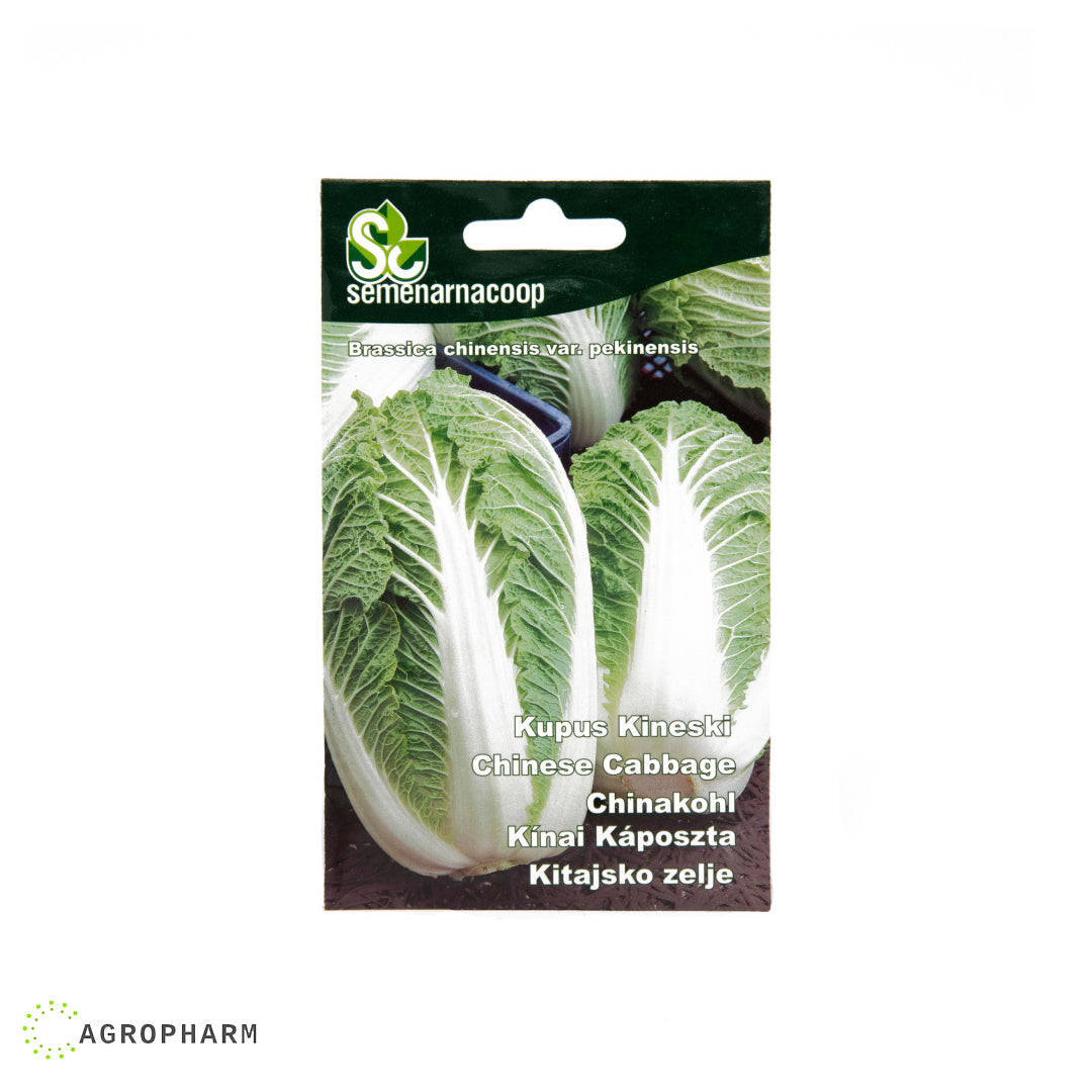 Kupus Kineski Semenarnacoop