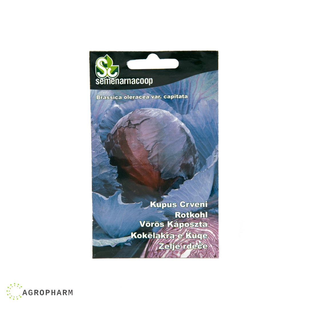 Kupus Crveni Semenarnacoop