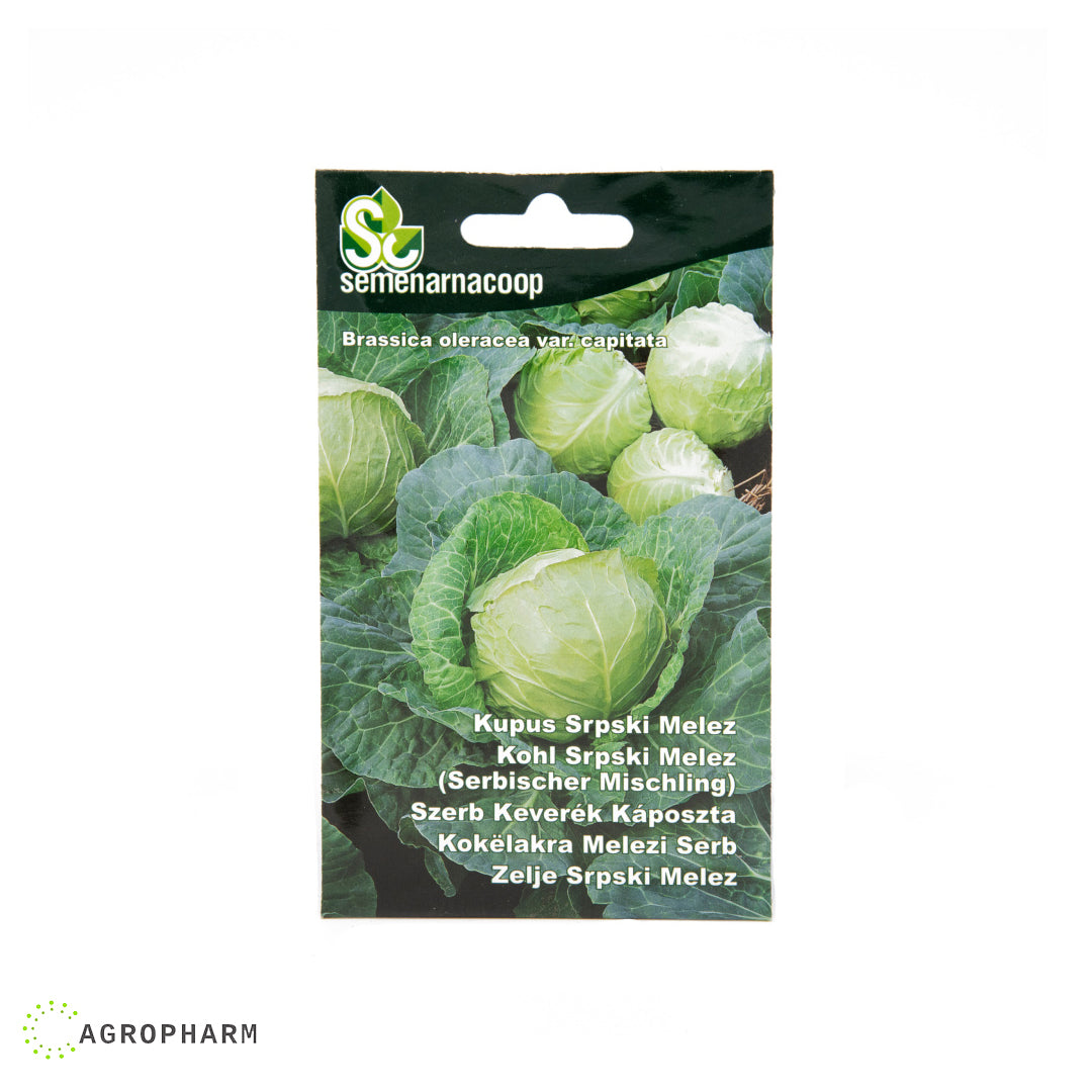 Kupus Srpski melez Semenarnacoop