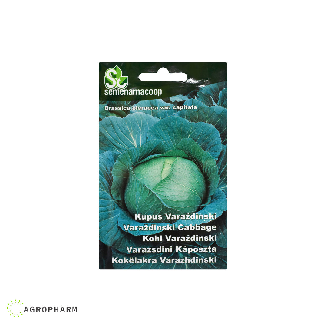 Kupus Varaždinski Semenarnacoop