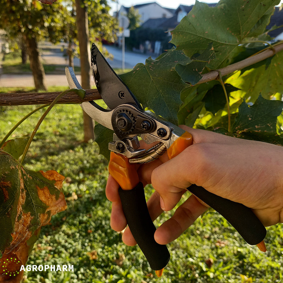 Makaze Muta ručne sa sunđerom