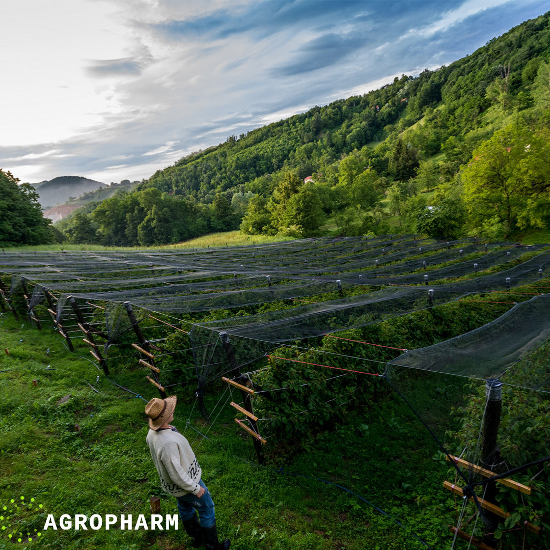 Mreža za zasenu 8m širine