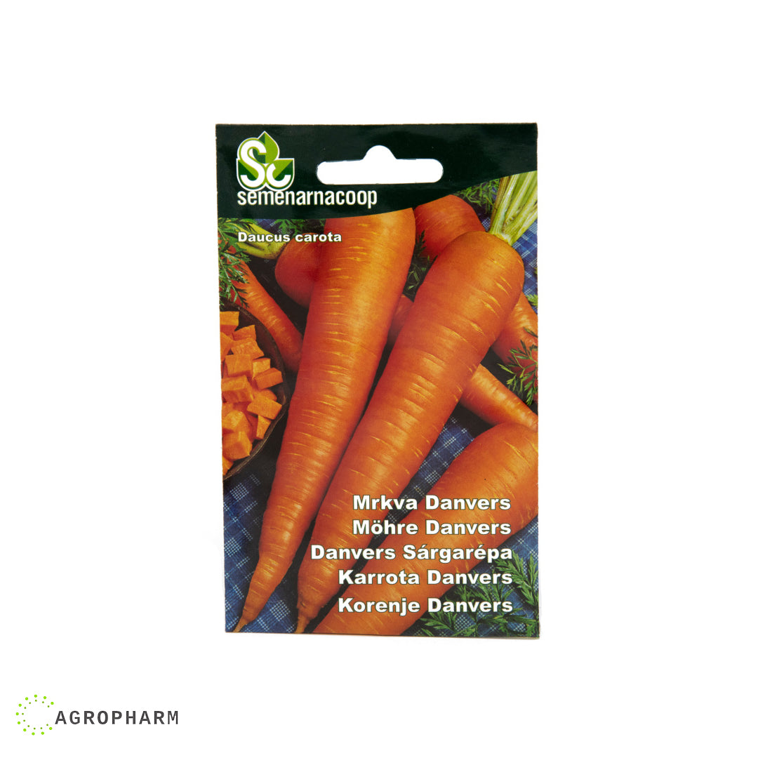 Mrkva Danvers Semenarnacoop