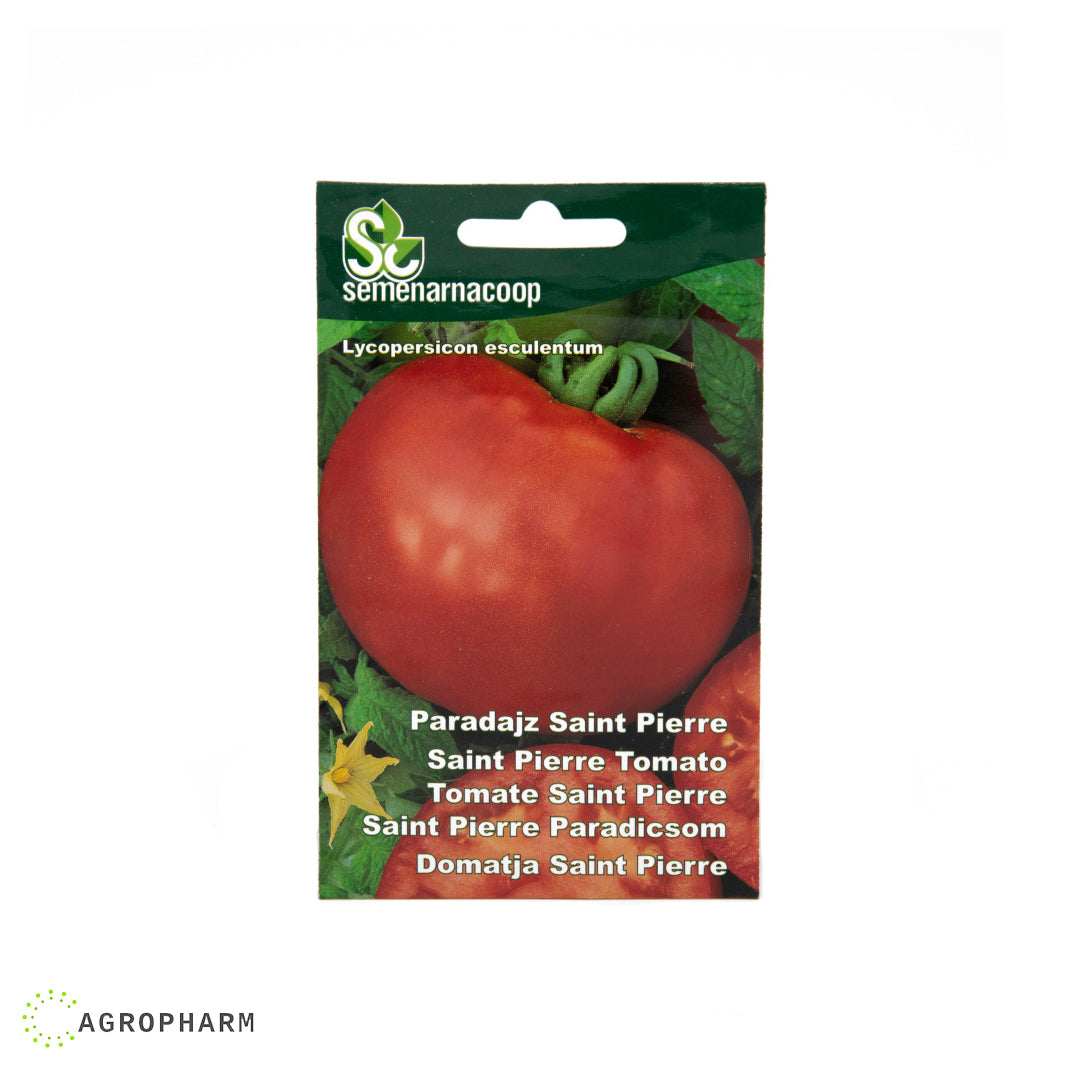 Paradajz Saint Pierre Semenarnacoop