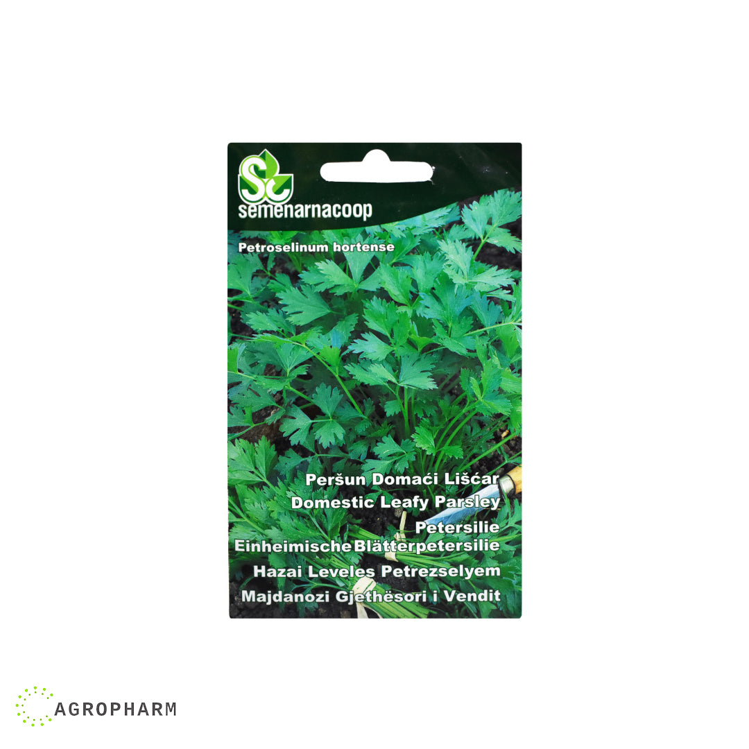 Peršun Domaći lišćar Semenarnacoop