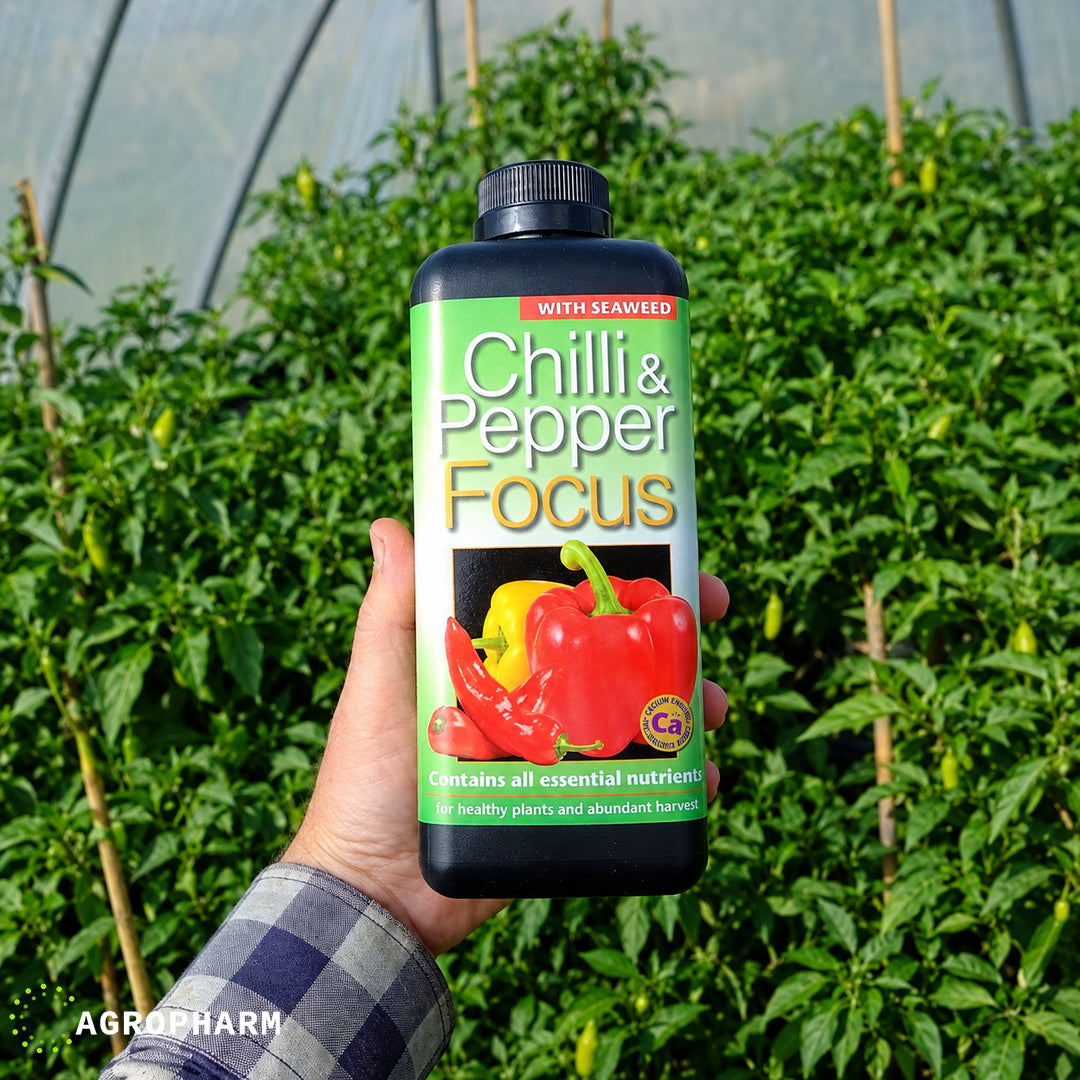 Prihrana za paprike Chilli & Pepper Focus
