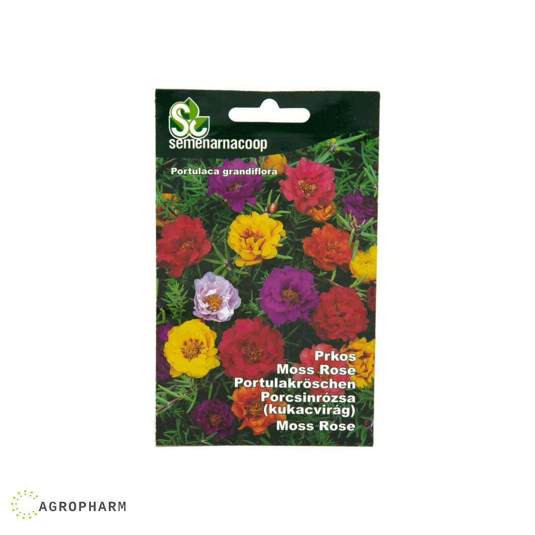 Prkos ili Rezančići cveće Semenarnacoop