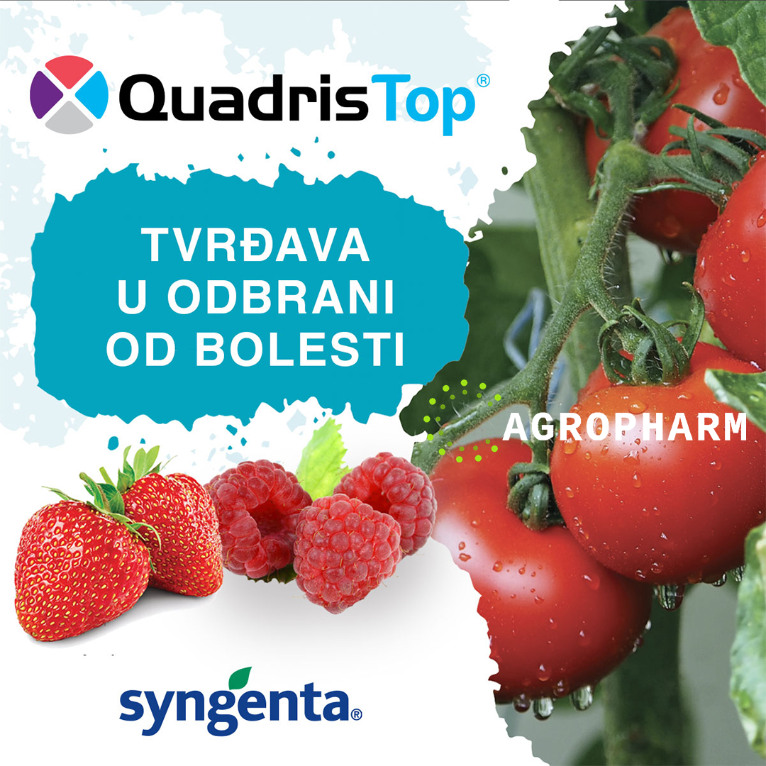 Quadris Top 1l