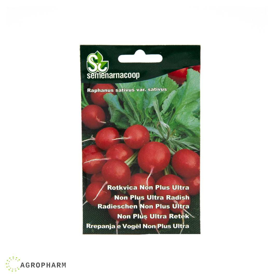 Rotkvica Non plus ultra Semenarnacoop