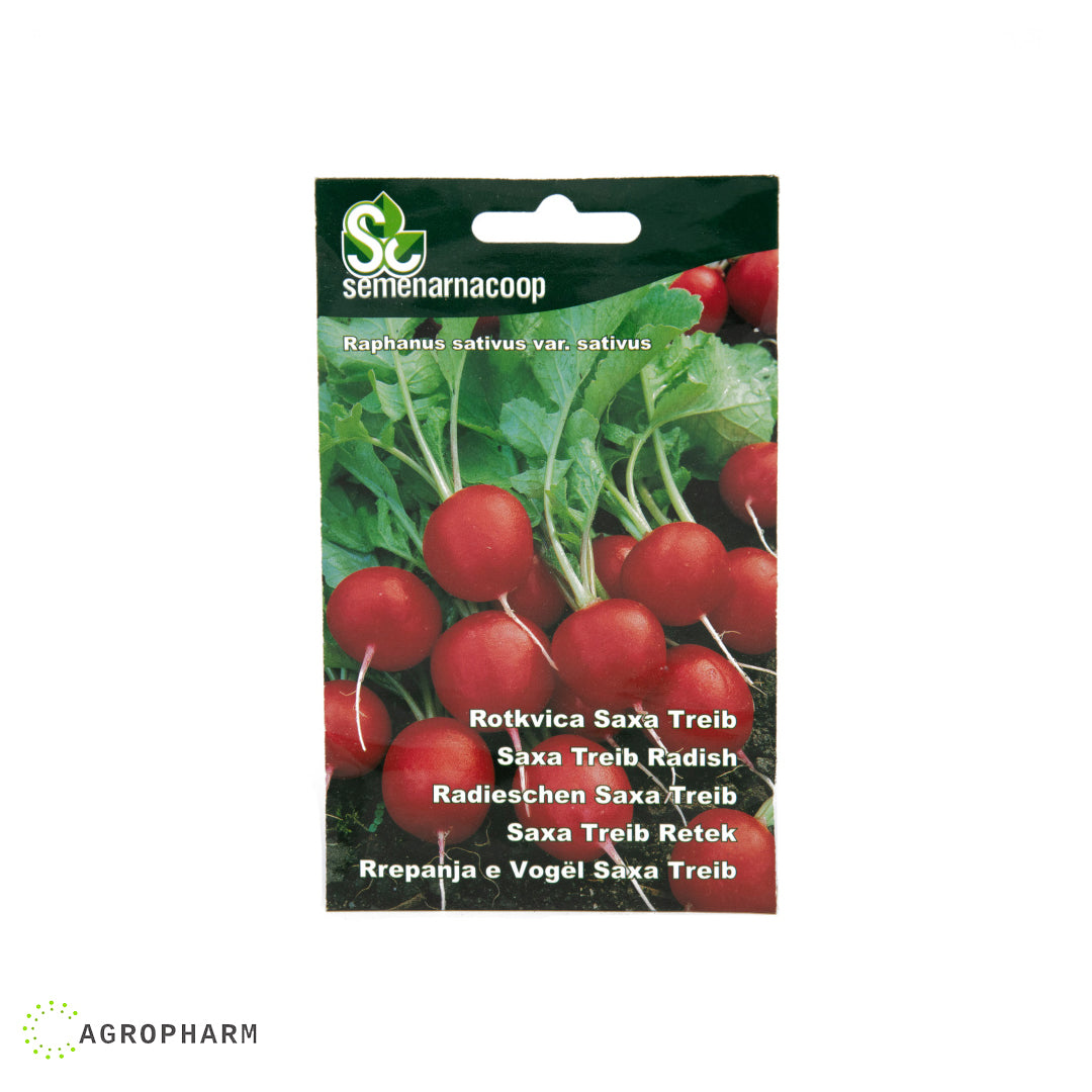 Rotkvica Saxa Treib Semenarnacoop