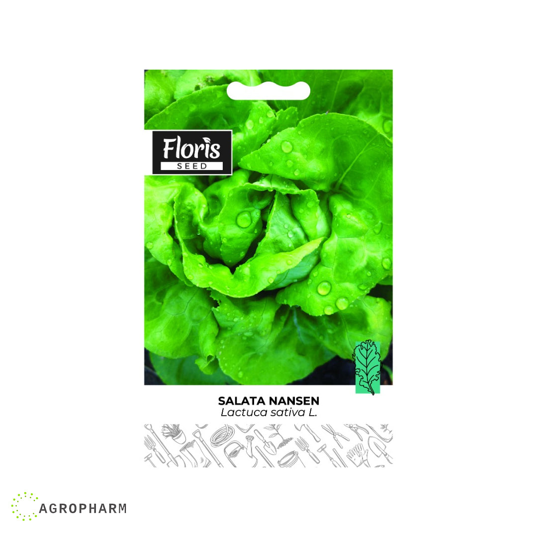 Salata jesenja Nansen Floris