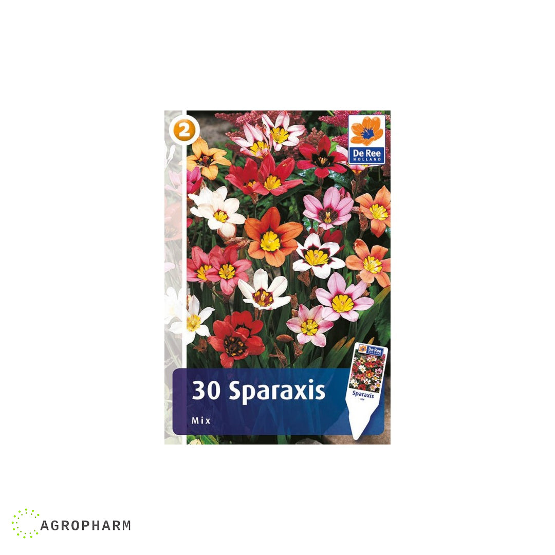 Sparaxis Mix 30/1