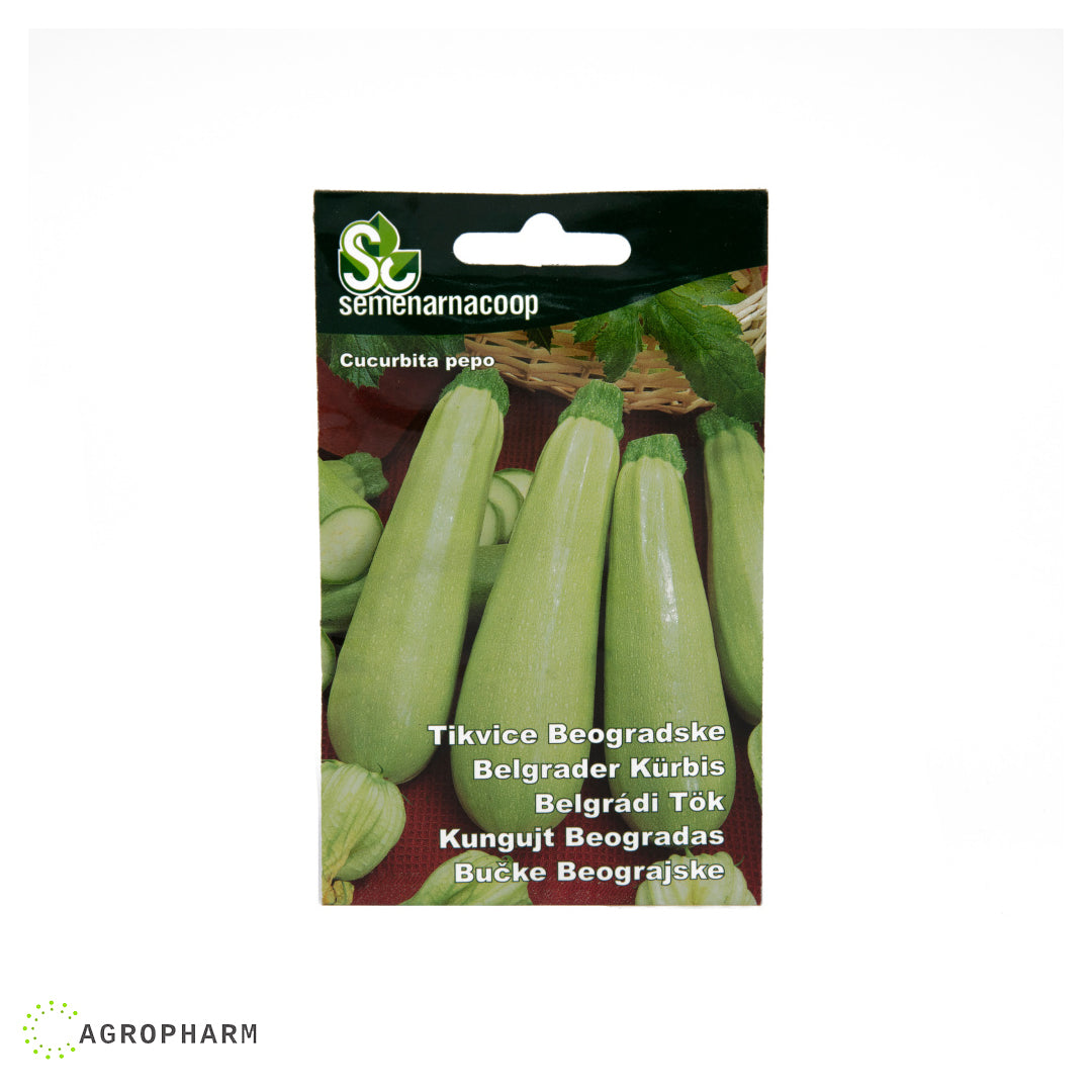 Tikvica Beogradska Semenarnacoop