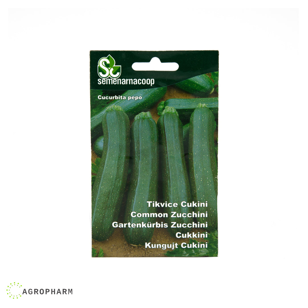 Tikvica Cukini Semenarnacoop