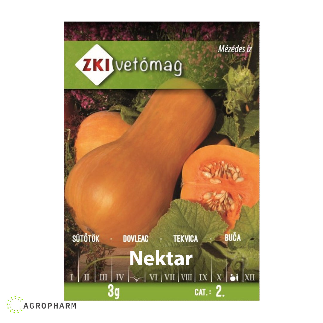 Tikva Nekat tambura ZKI Seme