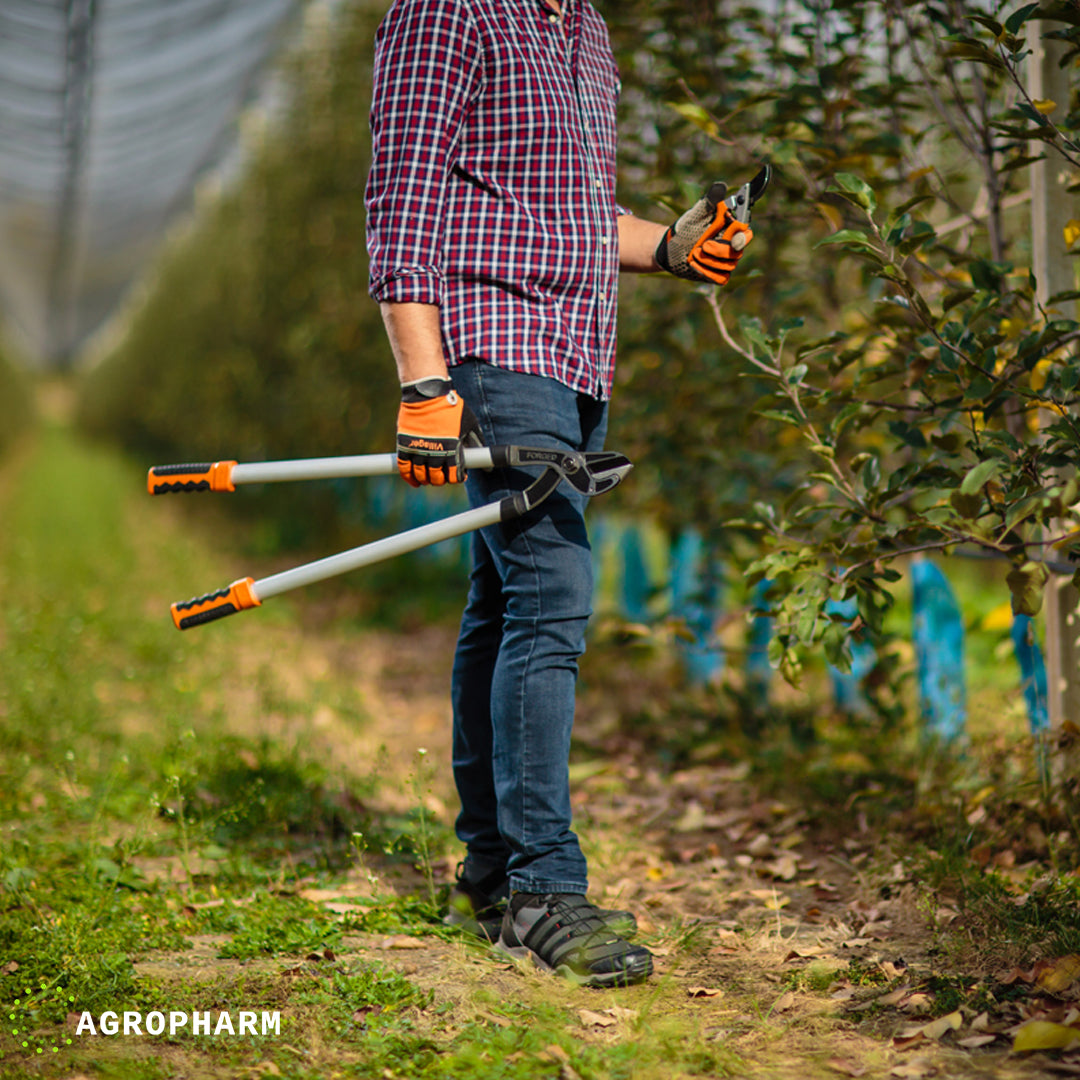 Makaze za grane voćarske LS 127 Villager