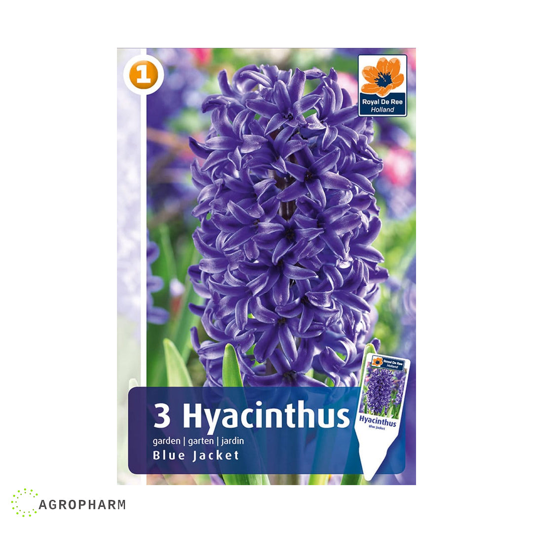 Zumbul Blue Jacket 3/1