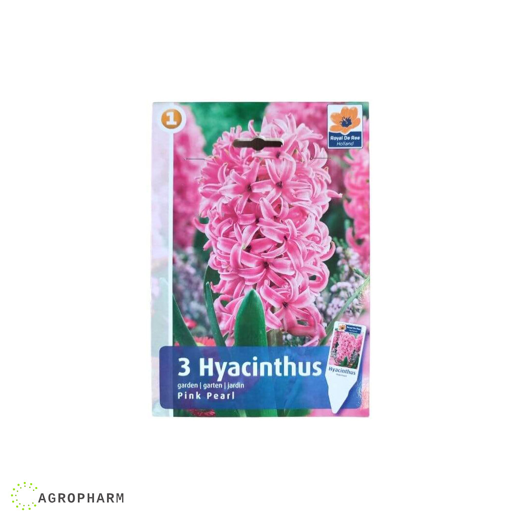 Zumbul Pink Pearl 3/1