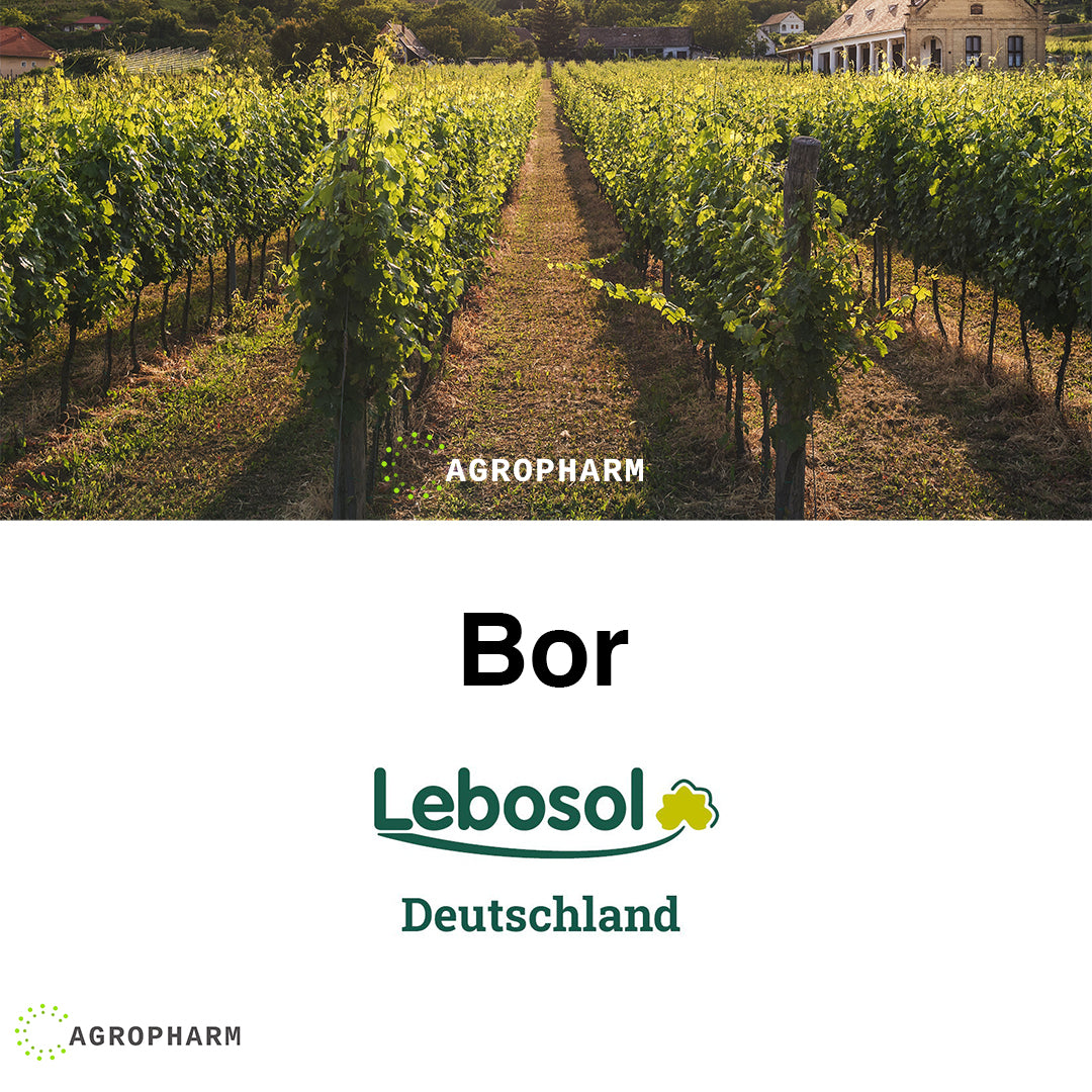Lebosol Bor 1l