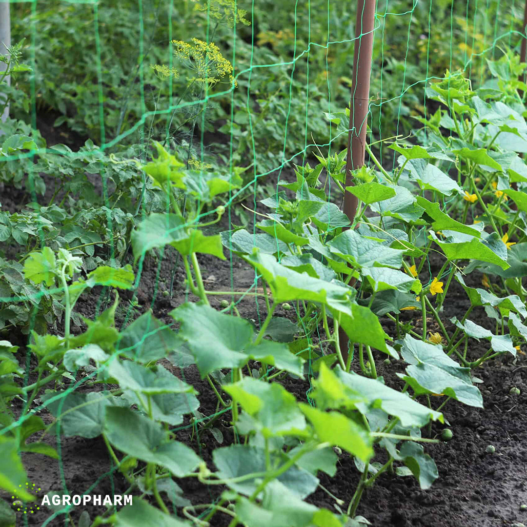 Mreža za krastavce i puzavice 1,7mx50m