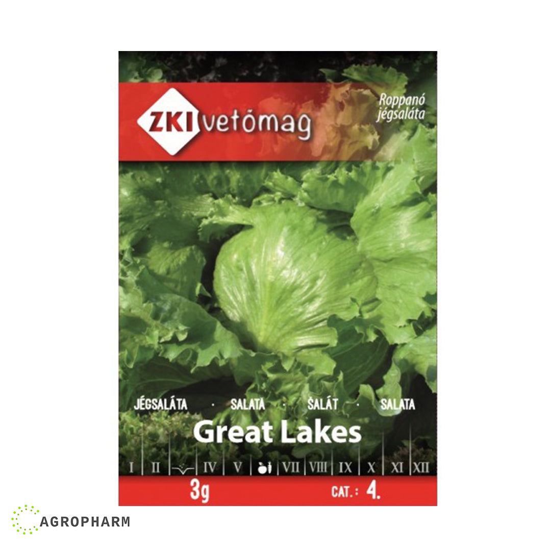 Salata Great Lakes Ice Berg Hrskava 3gr Seme ZKI