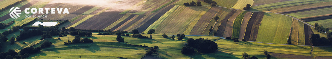 Insekticidi - Agropharm