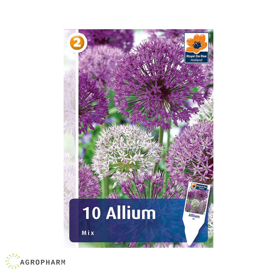 Allium Sensation Mix 5/1