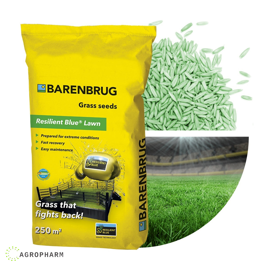 Barenbrug Resilient Blue 5kg