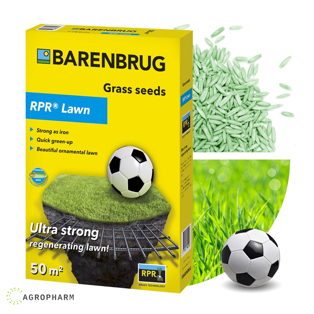 BARENBRUG RPR Lawn seme trave