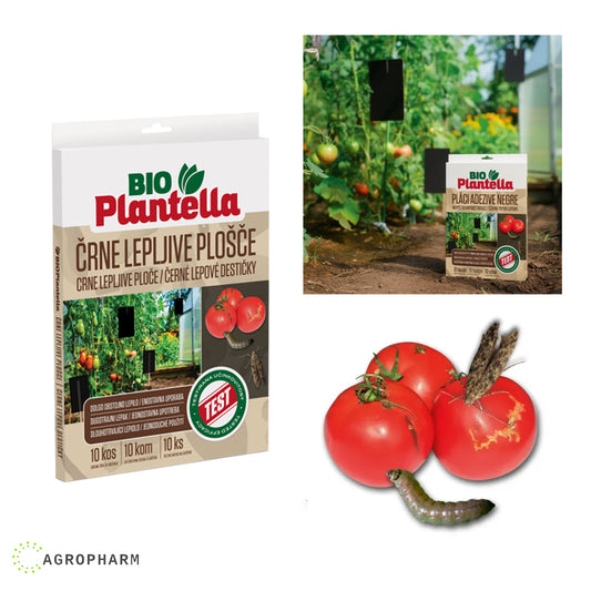 CRNE lepljive ploče za insekte 24x17 10/1 Bio Plantella