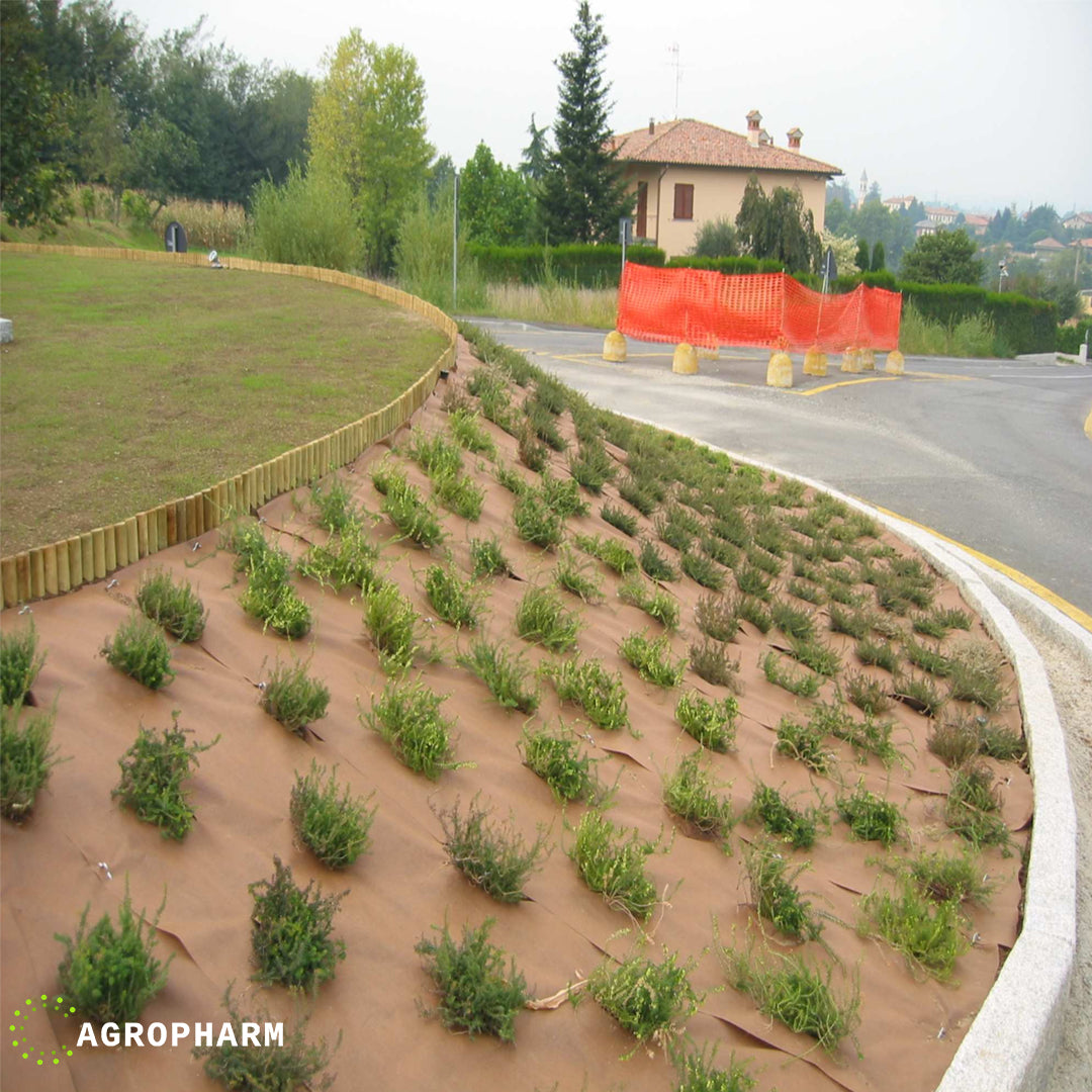 Dupont Plantex Gold Agrotekstil