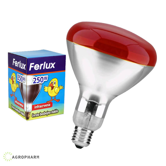 Infracrvena sijalica za piliće 250w Ferlux