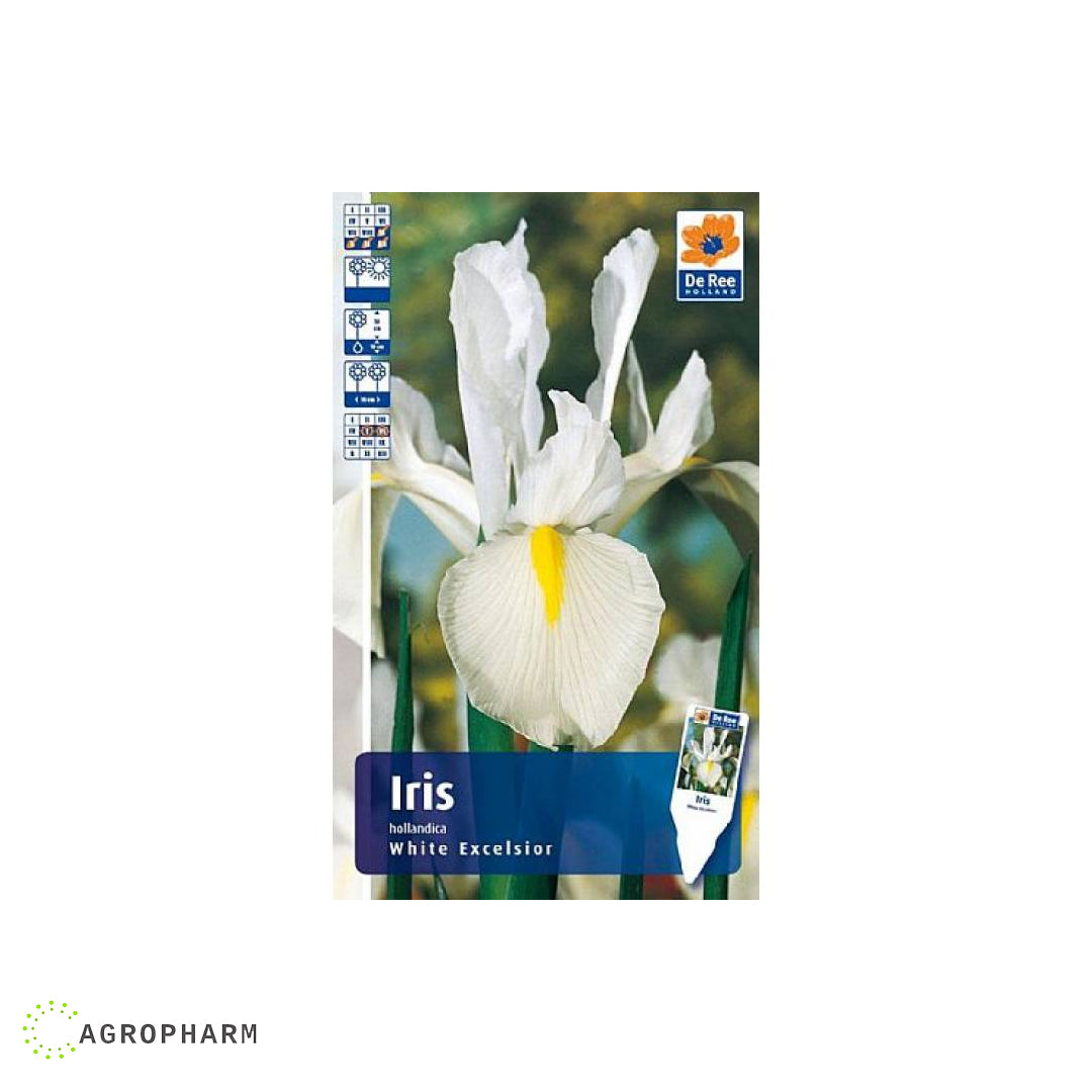 Iris White Excelsior 25/1