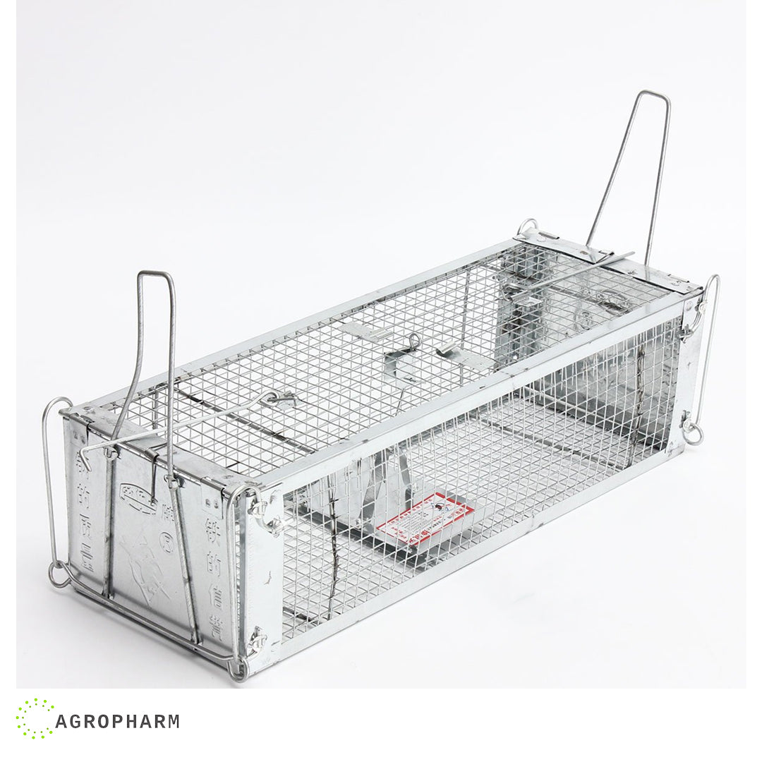 Kavez za hvatanje pacova i miševa Pro Swiss inno